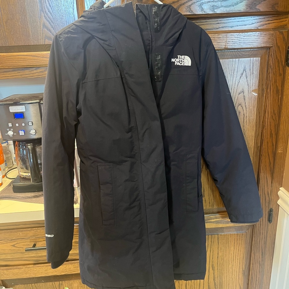 The North Face Down Parka (read description!!)